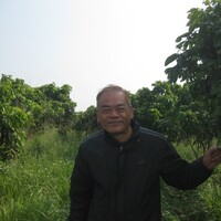 在斗六經營一家曼都美容院兼職務農林朝東