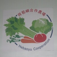 荷包嶼合作農場程麗蘭